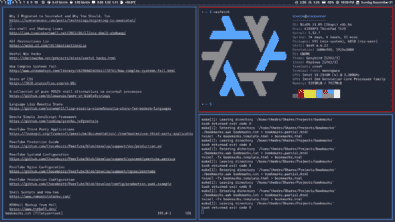 NixOS Pins and Needles